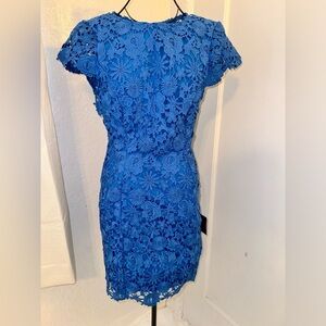 Lulus blue backless dress